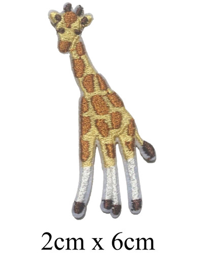 Giraffe zoo safari - giraffe,